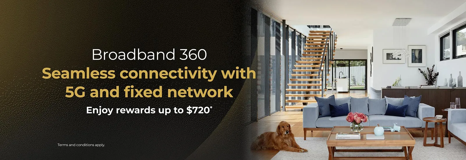 Broadband 360