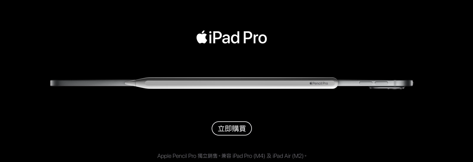 iPad Pro