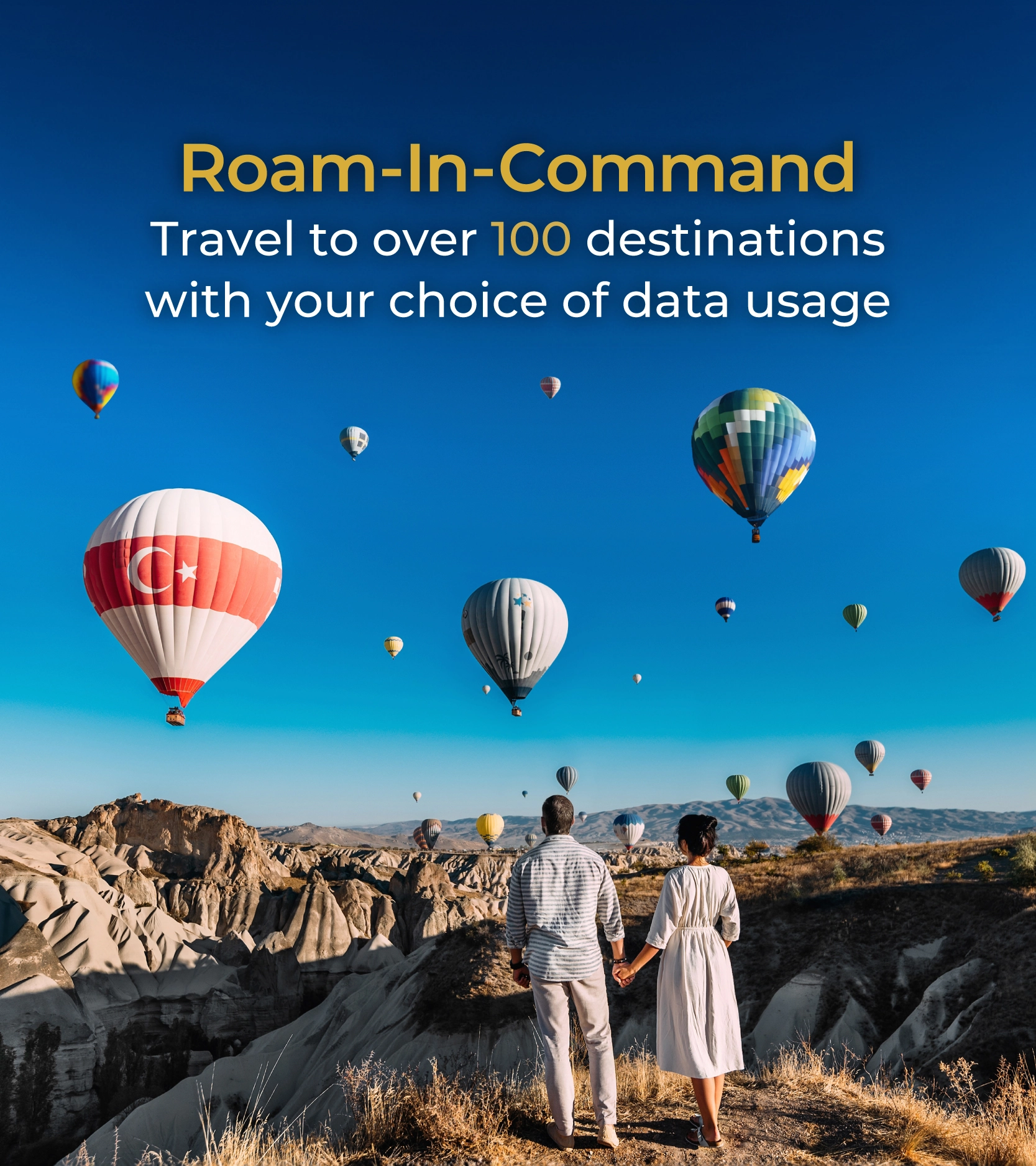 Roam-in-Command, 1 Pass travels the world